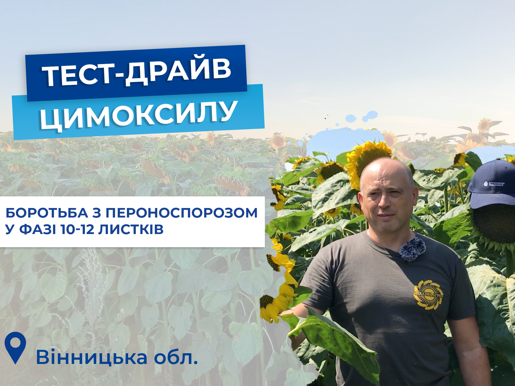Тест-драйв Цимоксилу: ТОВ «Агрокомплекс»