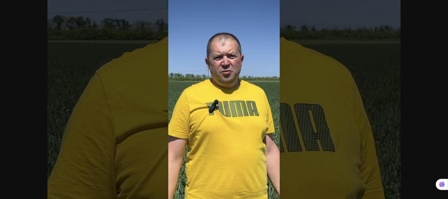 Трайдент: захист пшениці від бур'янів та амброзії в господарстві «Родина Г»